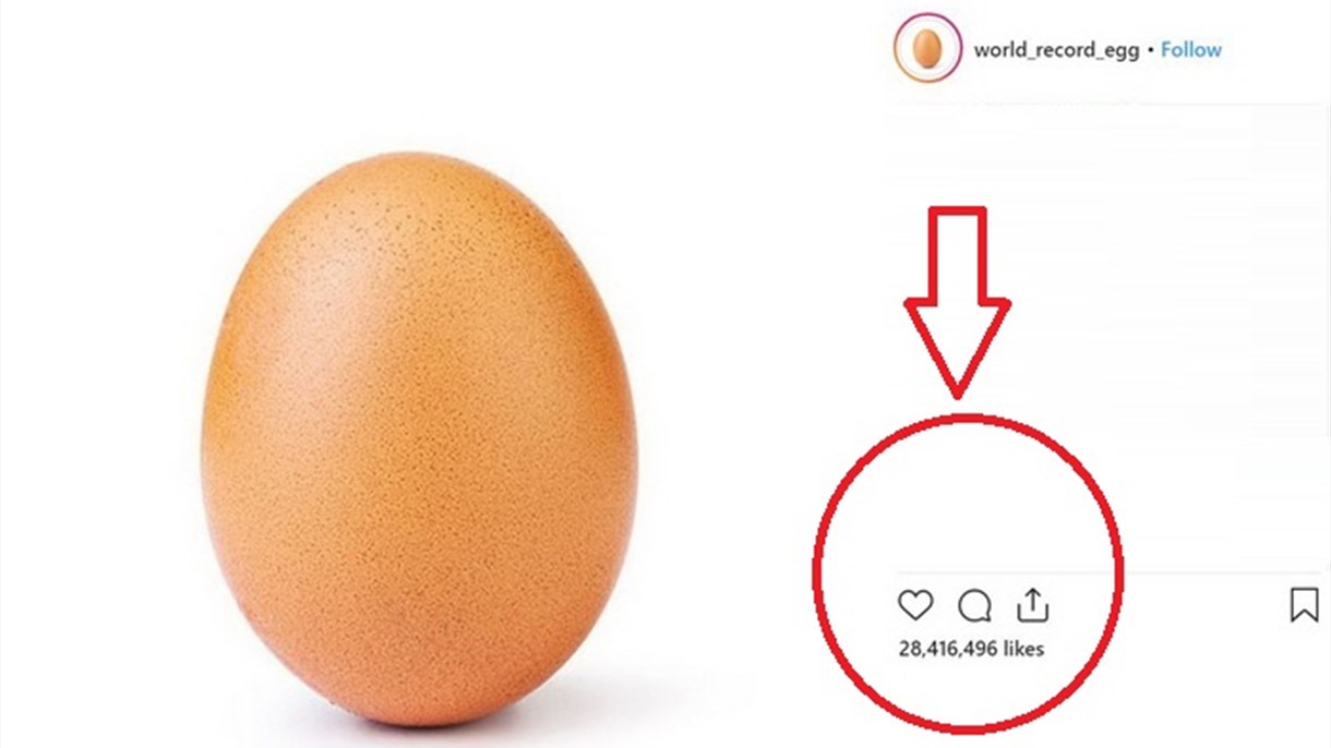 بيضة كسّرت الأرقام ولم تنكسر