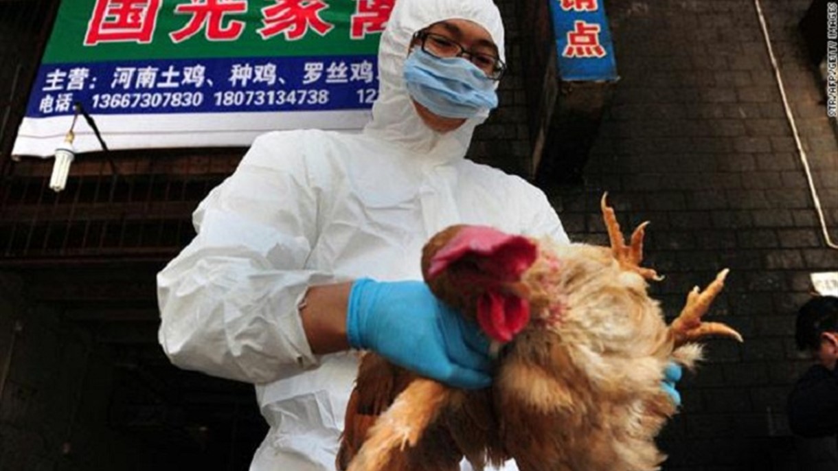 وفيات انفلونزا الطيور في الصين الى ارتفاع