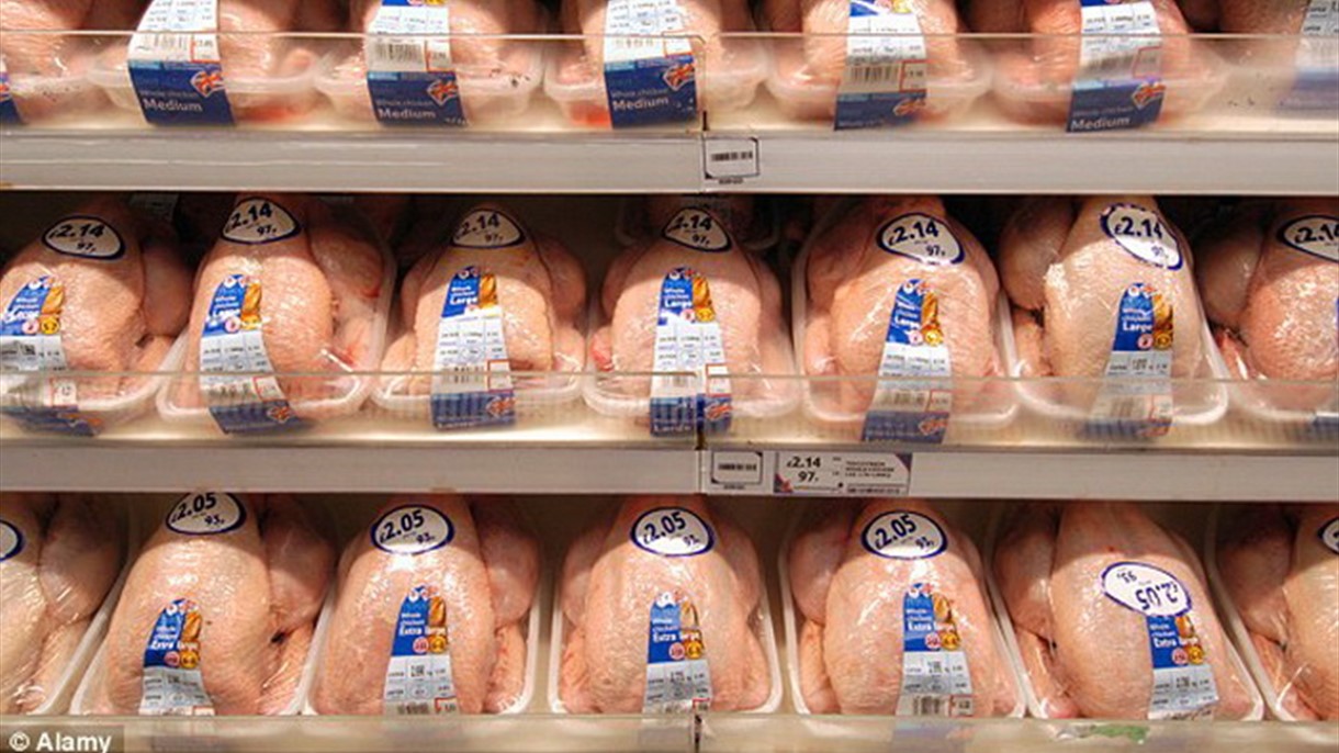 حتى في بريطانيا.. الدجاج يحتوي على بكتيريا قاتلة