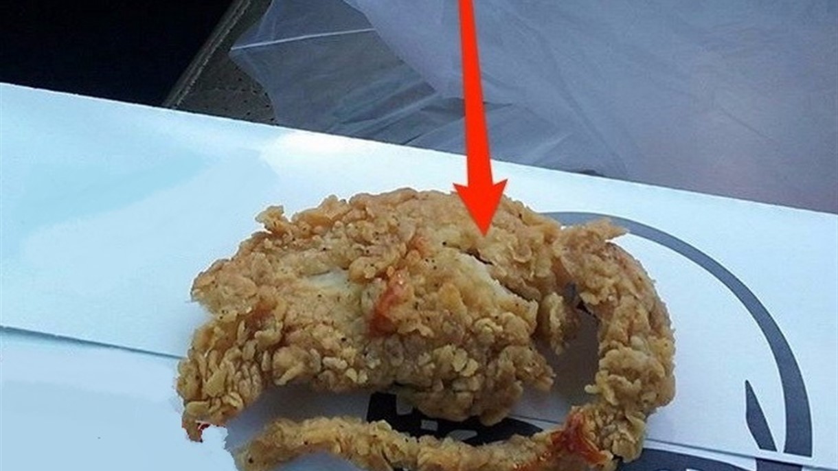 مطاعم KFC تدافع عن نفسها لا نقدِّم الفئران