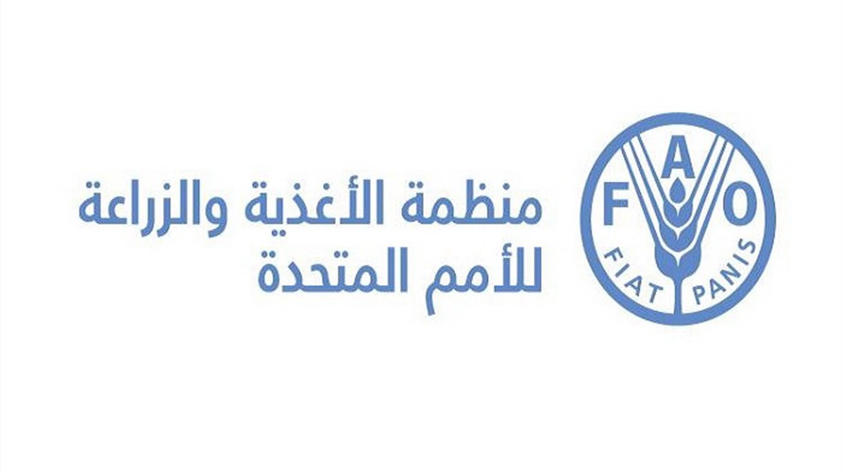توصيات منظمة الفاو لحماية المجتمعات الزراعية والريفية في لبنان