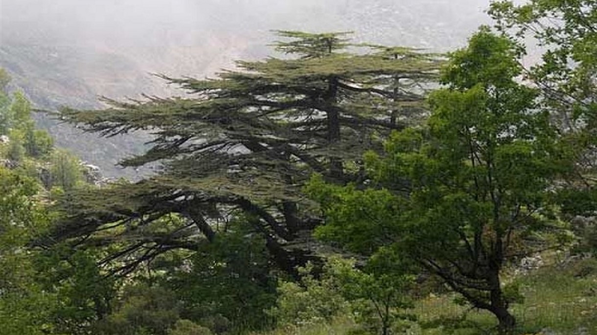 لبنان ضمن قائمة أفضل المناطق المحمية في العالم