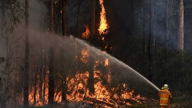 تشيلي تعلن حالة الطوارئ بسبب حرائق غابات